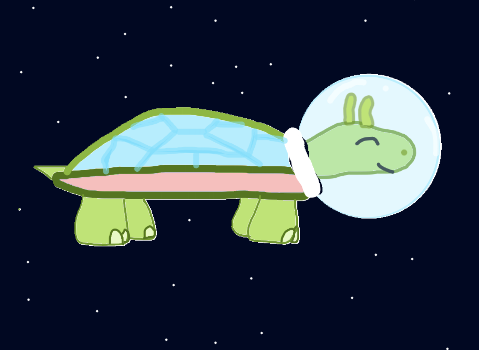 a space turtle